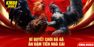 Bí quyết chơi đá gà ăn đậm tiền nhà cái