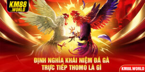 Định nghĩa khái niệm đá gà trực tiếp Thomo là gì