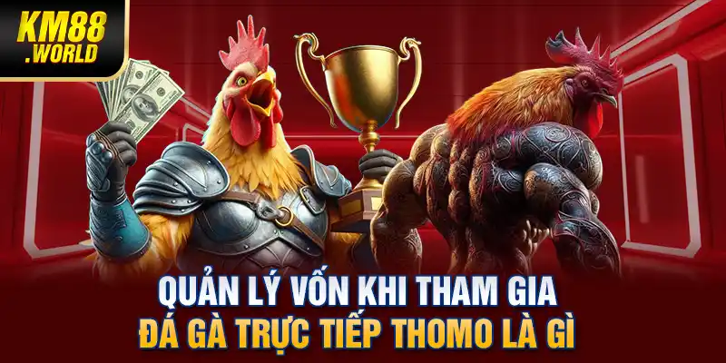 Quản lý vốn khi tham gia đá gà trực tiếp Thomo là gì