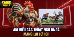 Am hiểu các thuật ngữ đá gà mang lại lợi ích