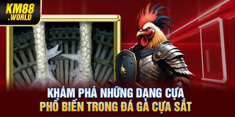Khám phá những dạng cựa phổ biến trong đá gà cựa sắt