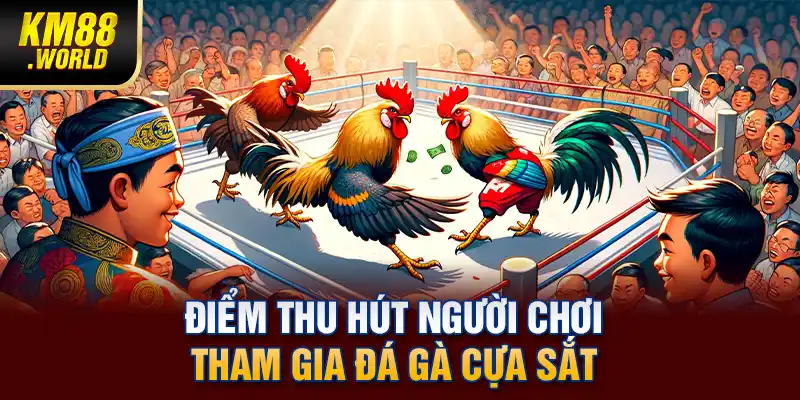 Điểm thu hút người chơi tham gia đá gà cựa sắt
