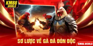 Sơ lược về gà đá đòn độc