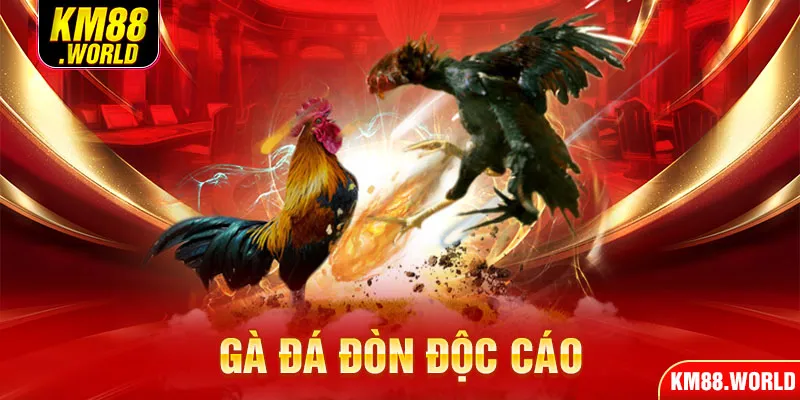 Gà đá đòn độc cáo