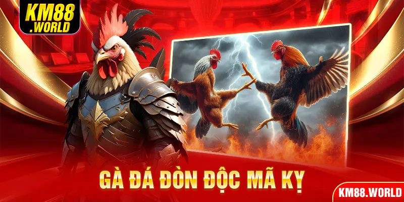 Gà đá đòn độc mã kỵ