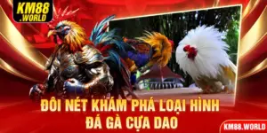Đôi nét khám phá loại hình đá gà cựa dao