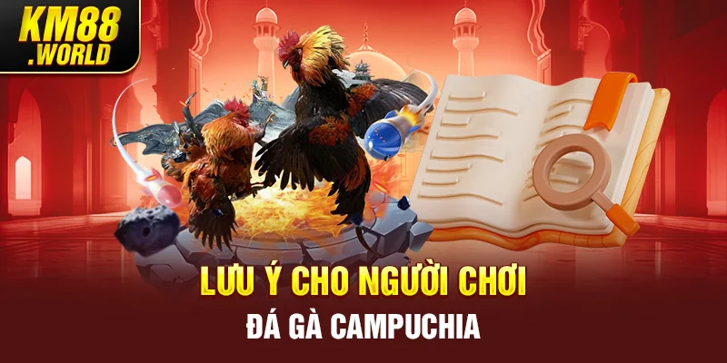Lưu ý cho người chơi đá gà Campuchia