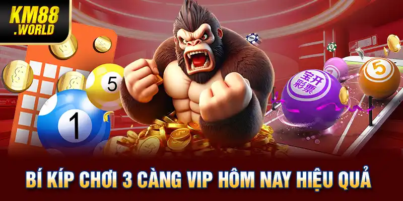 Bí kíp chơi 3 càng VIP hôm nay hiệu quả