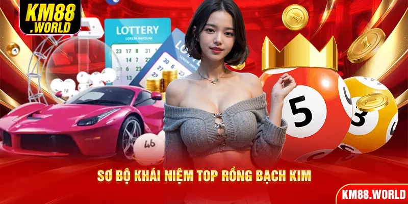 Sơ bộ khái niệm Top Rồng Bạch Kim